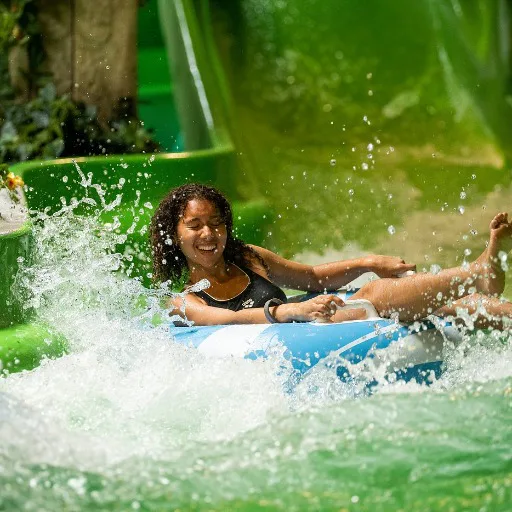 Experience slides and adrenaline!